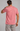 BT01-20260704-0001-Z.png
