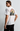 BT01-20260706-0194-R.png